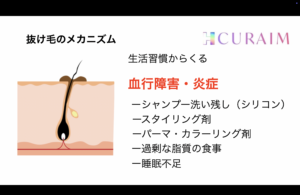 頭皮環境 イラスト -- 頭皮ケアの基礎