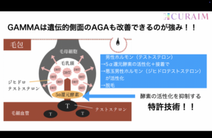 頭皮環境 イラスト -- 頭皮ケアの基礎