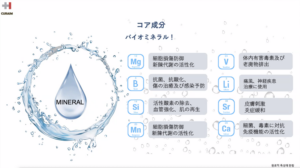 GAMMA成分 図解 -- CURAIMシャンプー成分解説